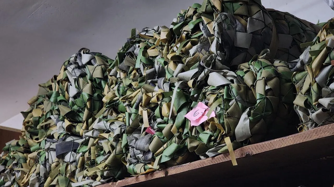 REGIONS/Валерия Тингаева