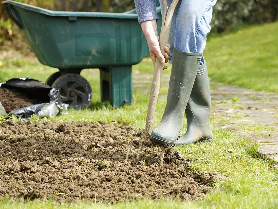 Фото: istockphoto.com