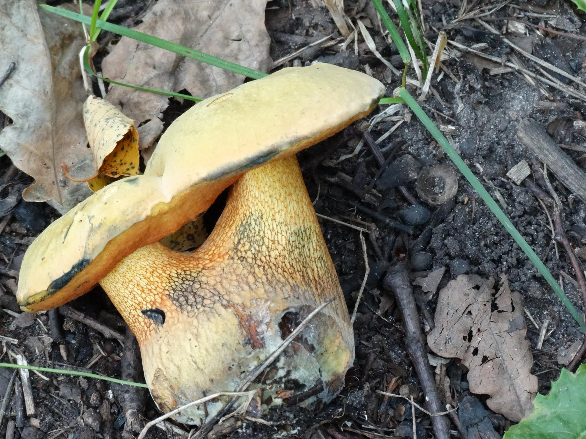 Министерство экологии и природопользования Московской области