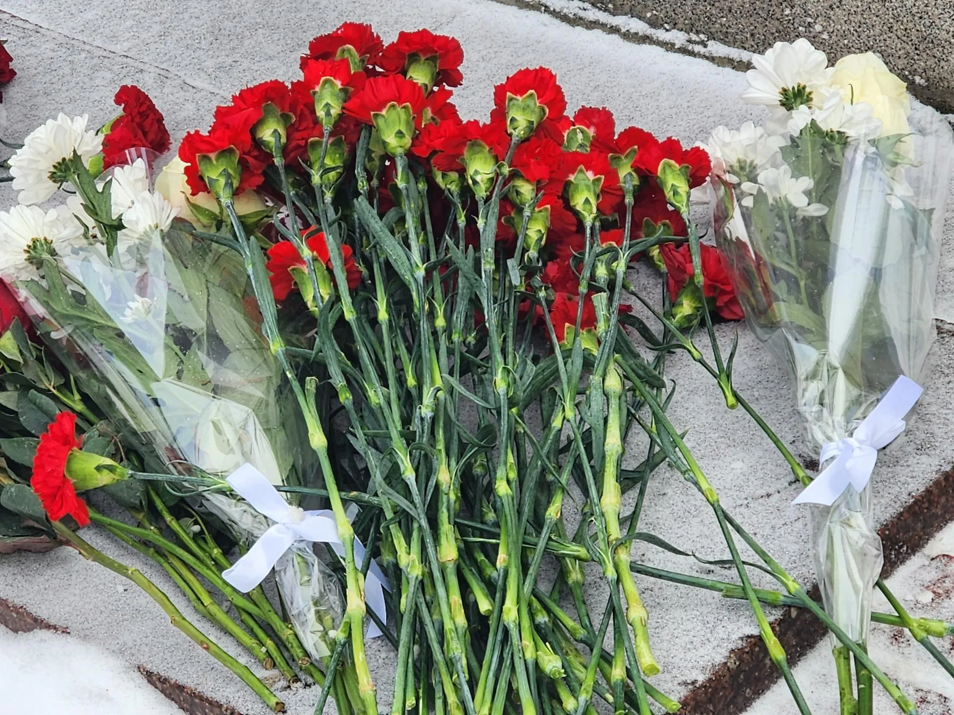 Фото: Светлана Борщева