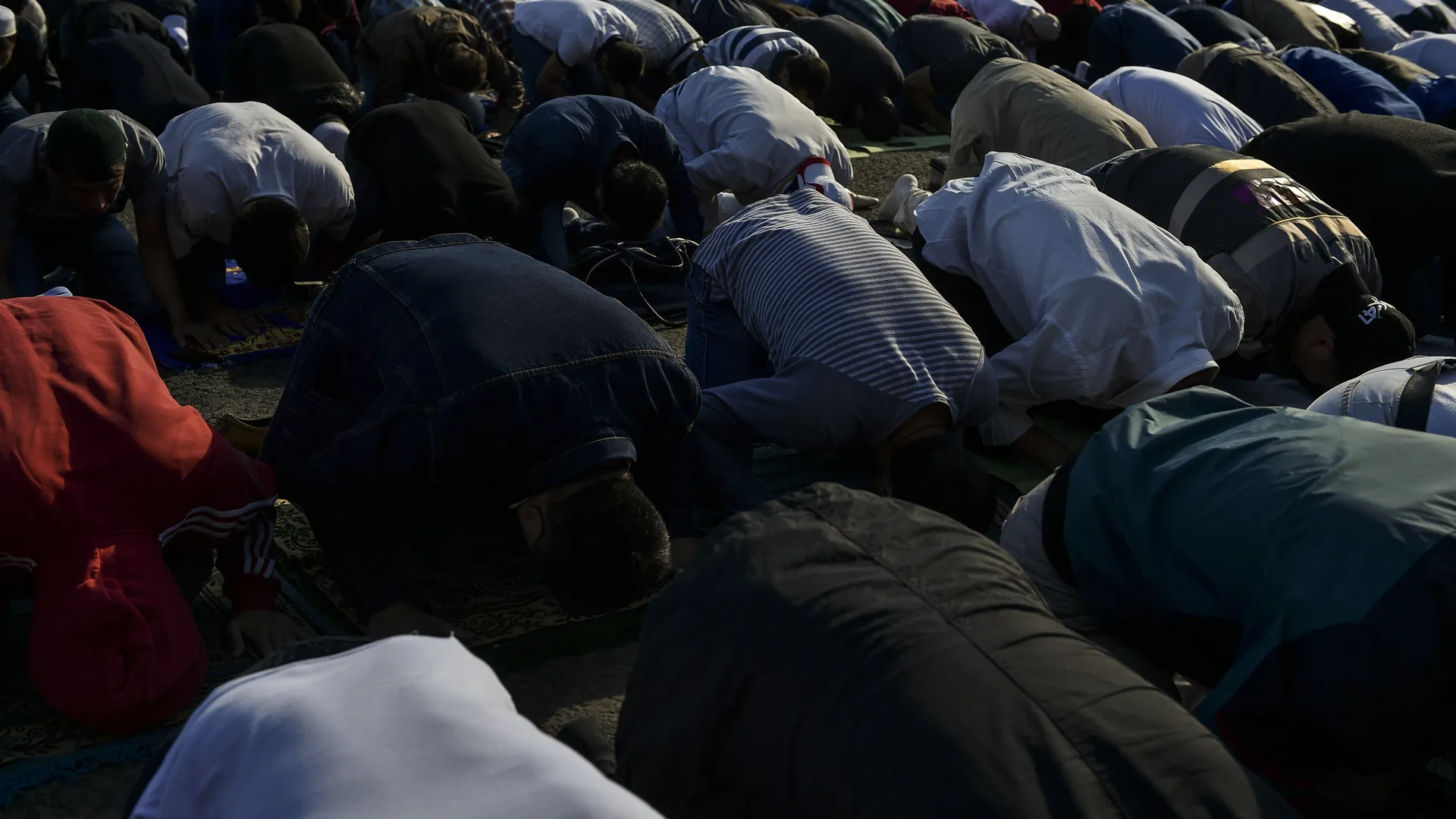 медиасток.рф