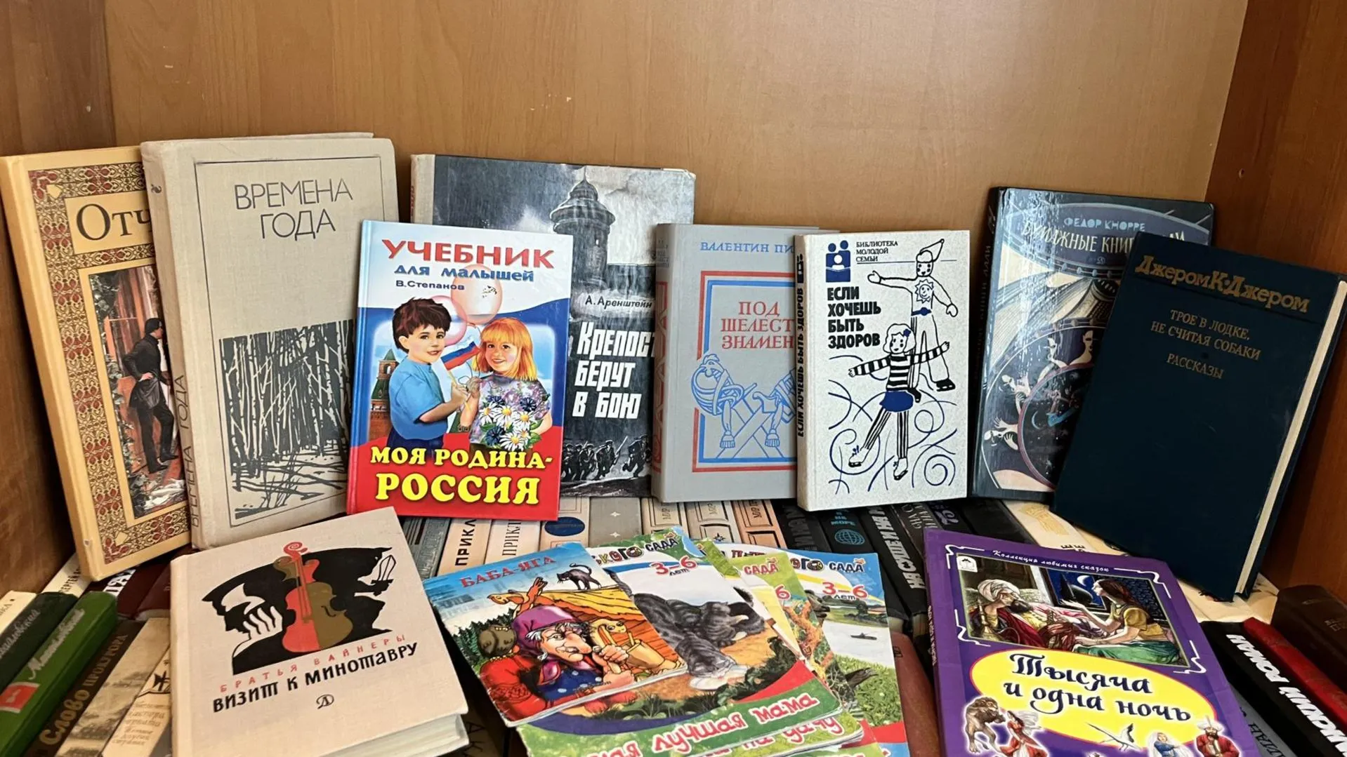 МедиаБанк Подмосковья/Ангелина Стельмух