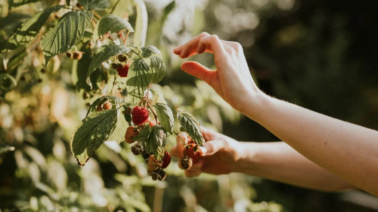 Фото: freepik.com