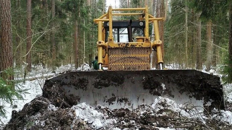 В лесах Подмосковья за две недели прочистили 100 км просек