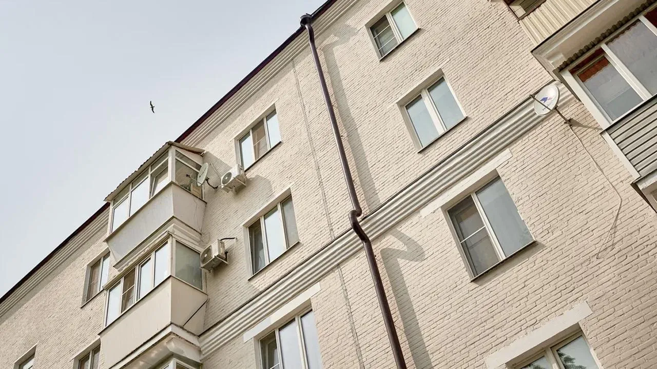 пресс-служба губернатора и правительства Московской области