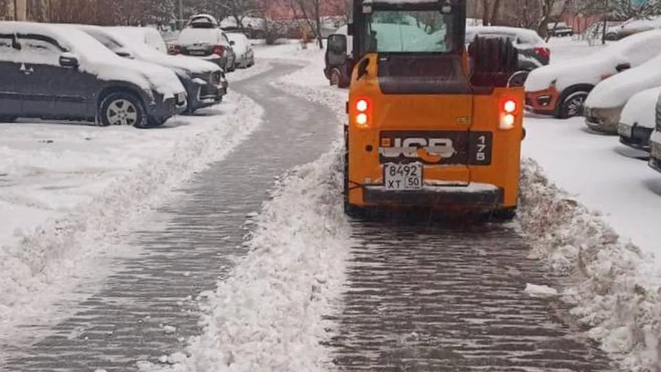 Фото: пресс-служба администрации г.о.Котельники