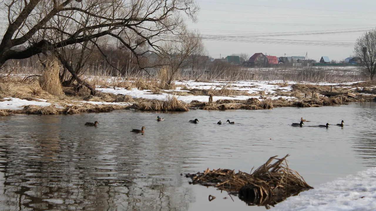 медиасток.рф