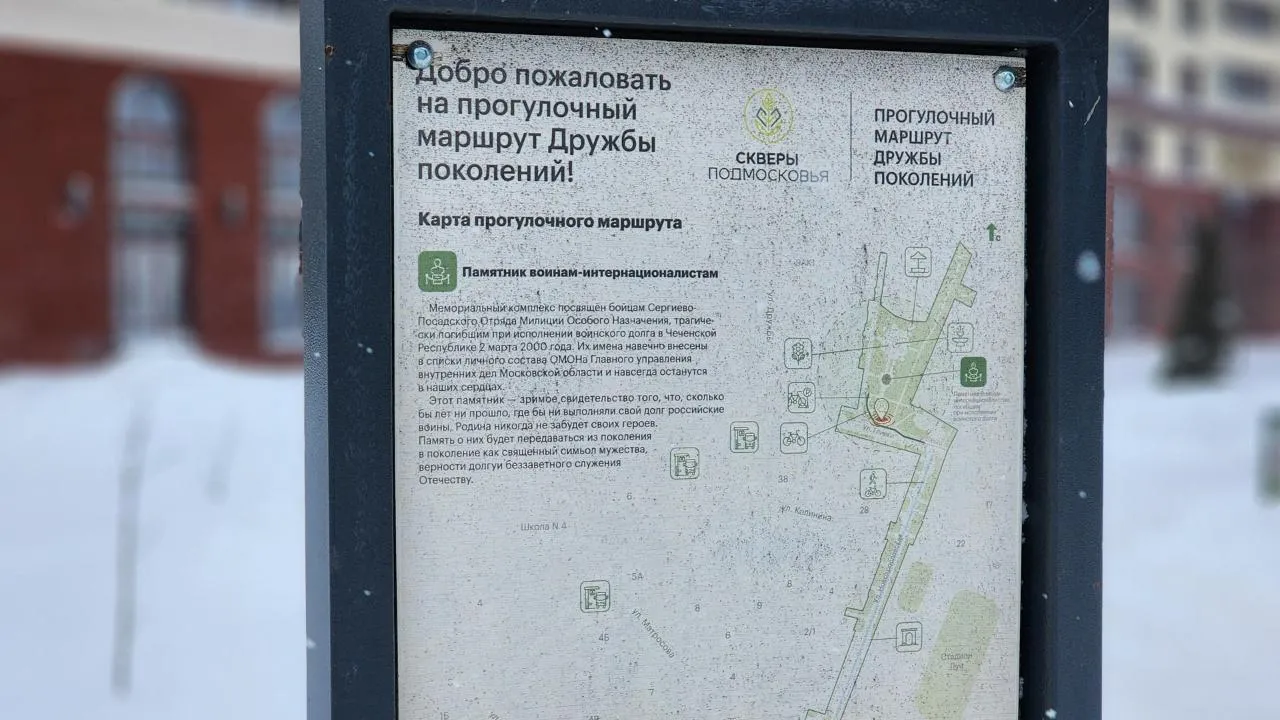 Елена Шумакова