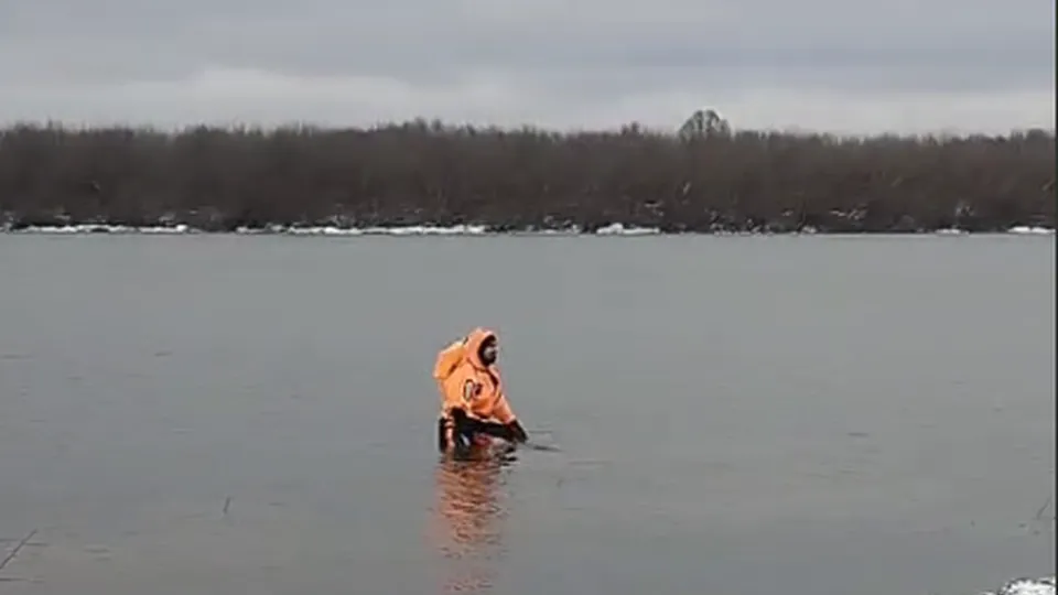 Фото: Дмитрий Елизаветенков