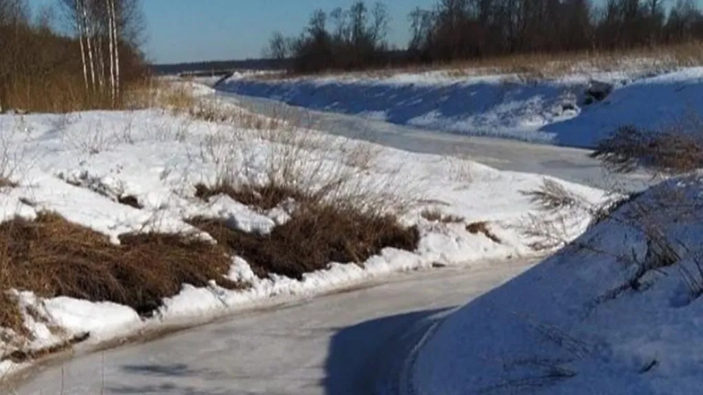 © Пресс-служба Министерства экологии и природопользования Московской области