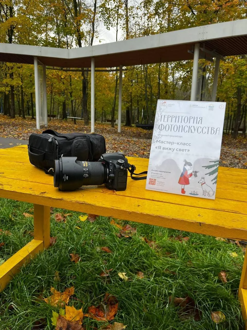 Фото: Парки Истры / ВКонтакте