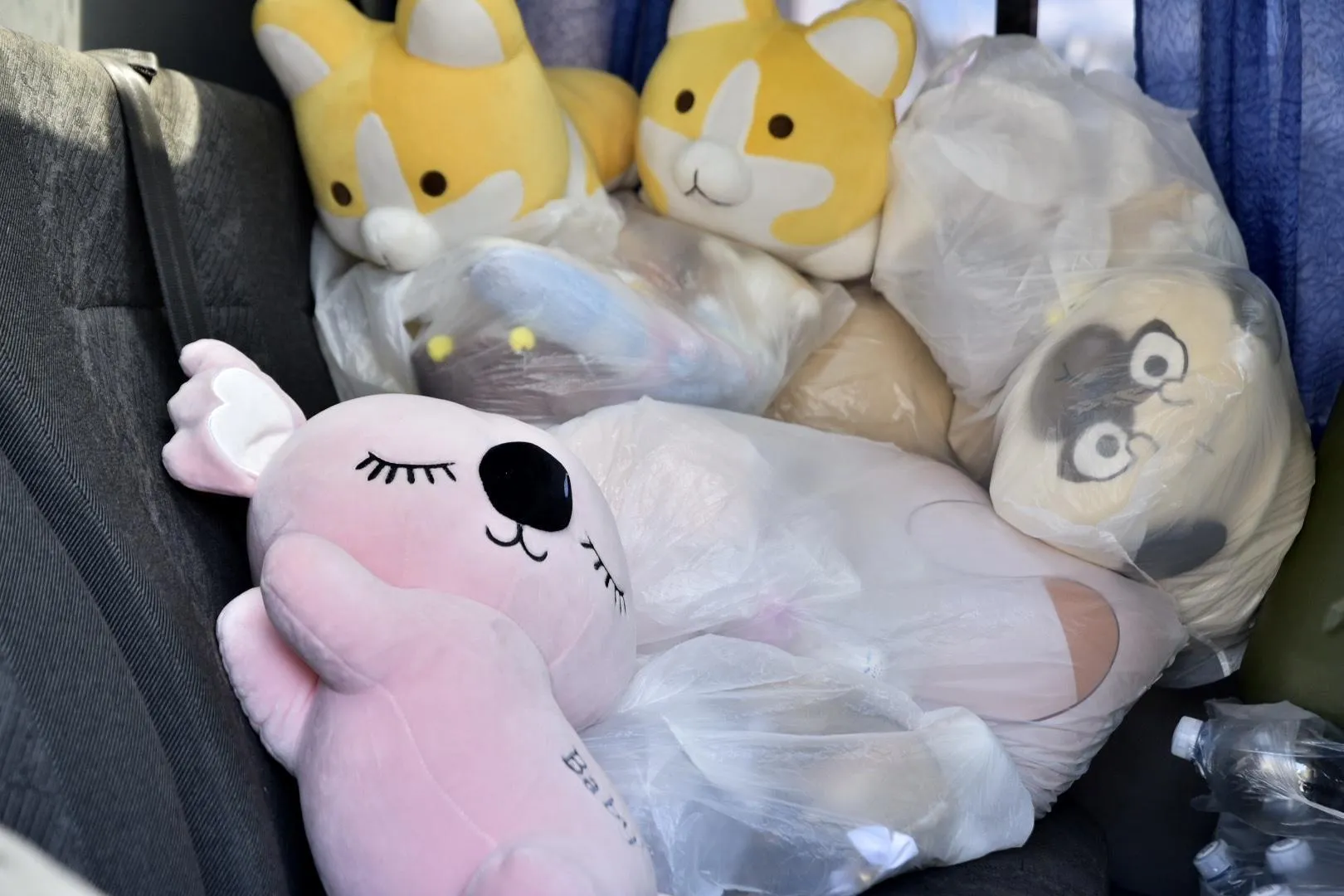 Пресс-служба администрации городского округа Солнечногорск