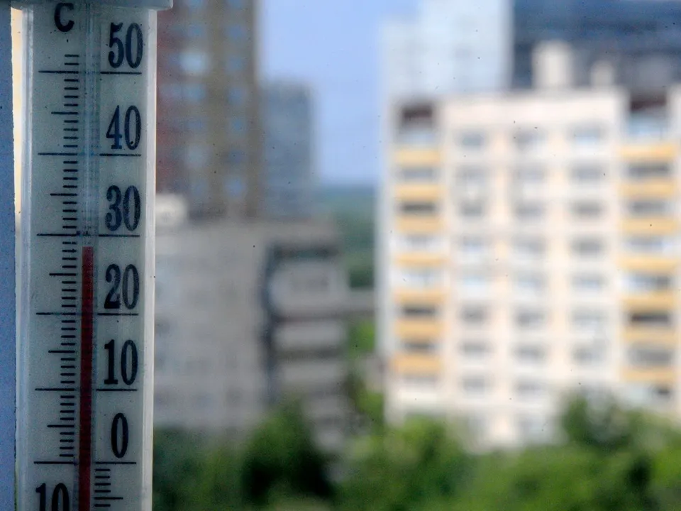 Фото: медиасток.рф<br>