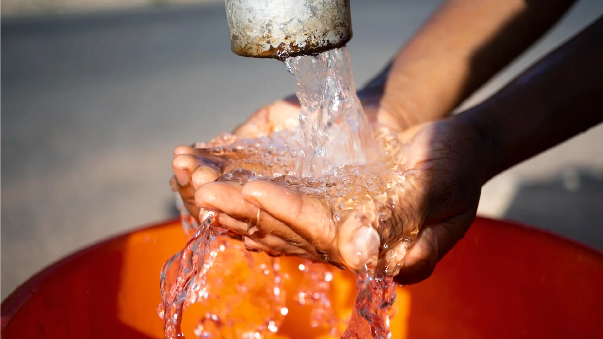 Фото: freepik.com