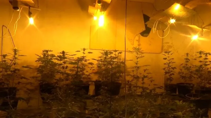 ГУ МВД по МО