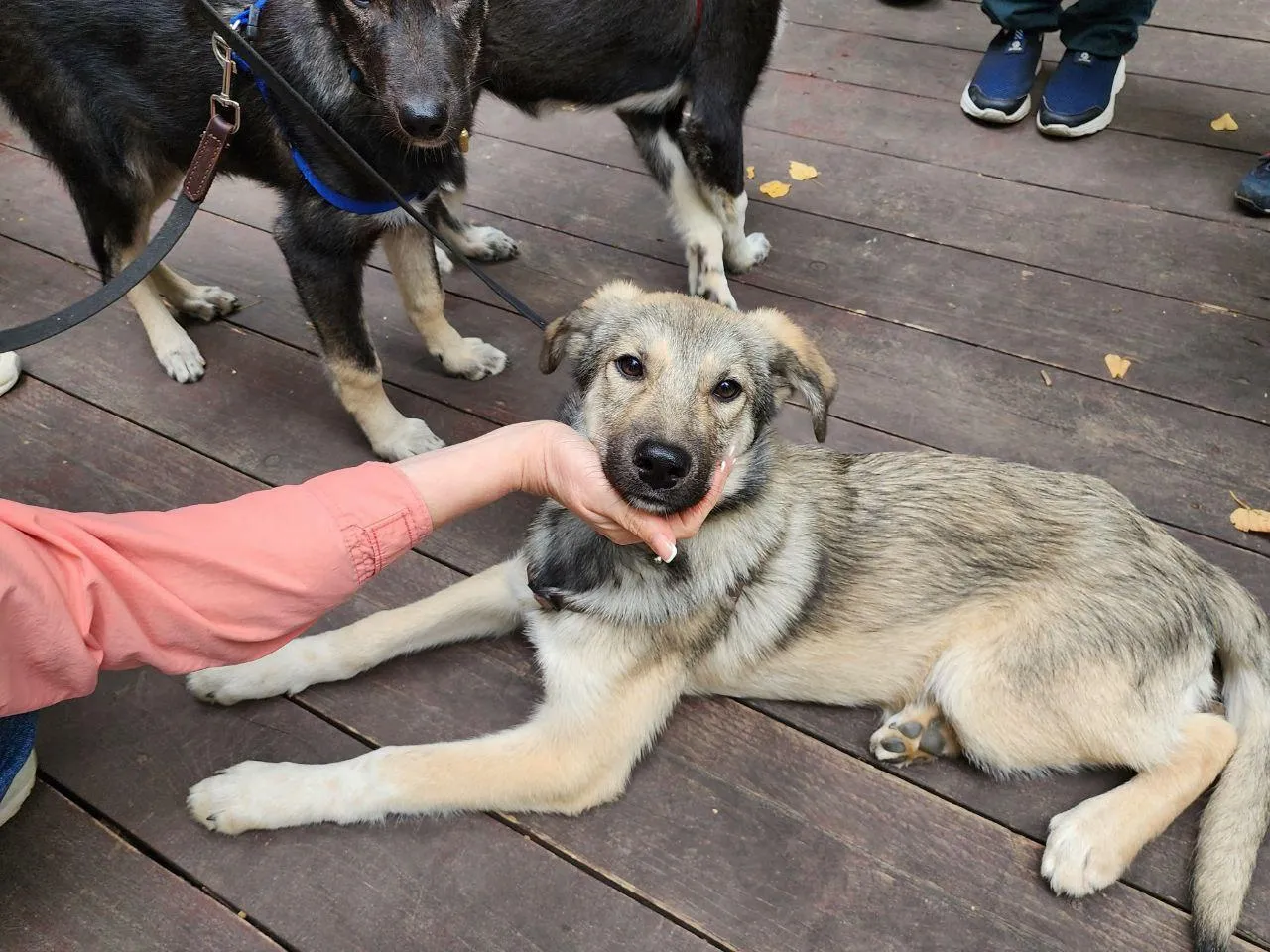 Фото: Мария Амелина