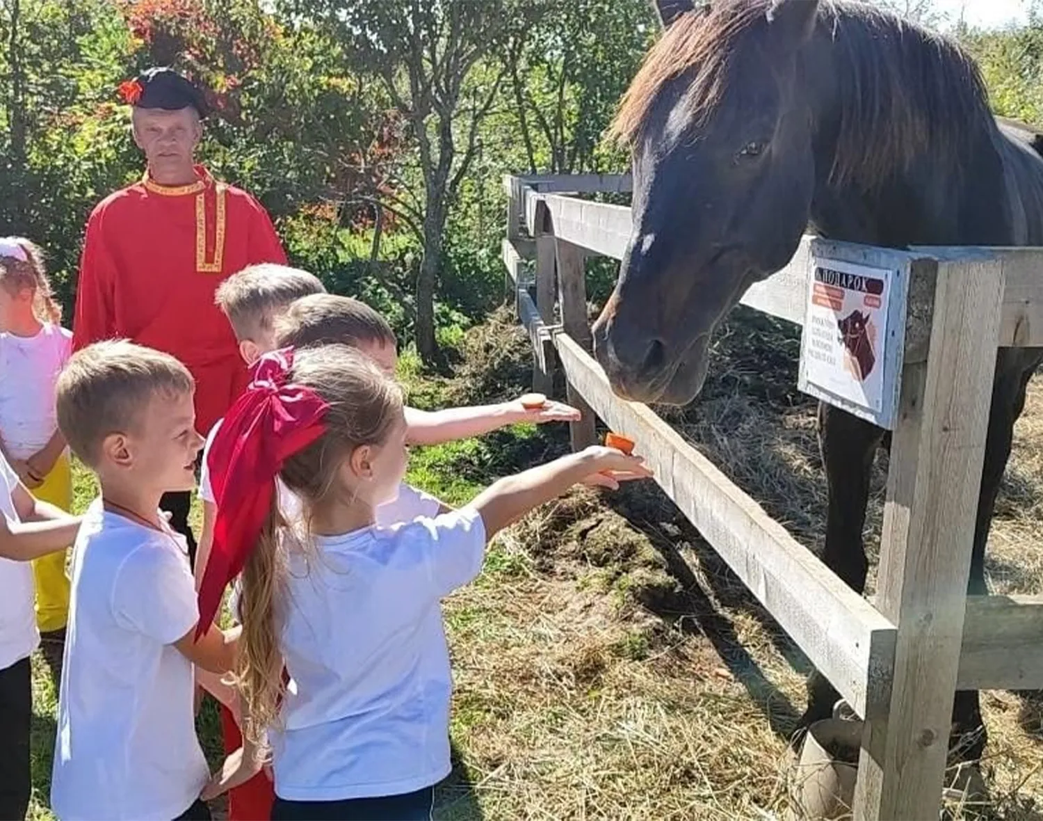 Фото: пресс-служба администрации м.о. Зарайск