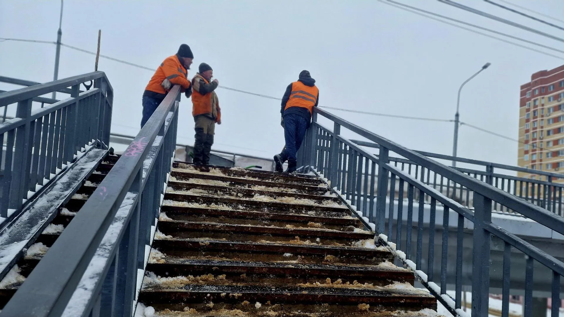 REGIONS/Ольга Шаронова