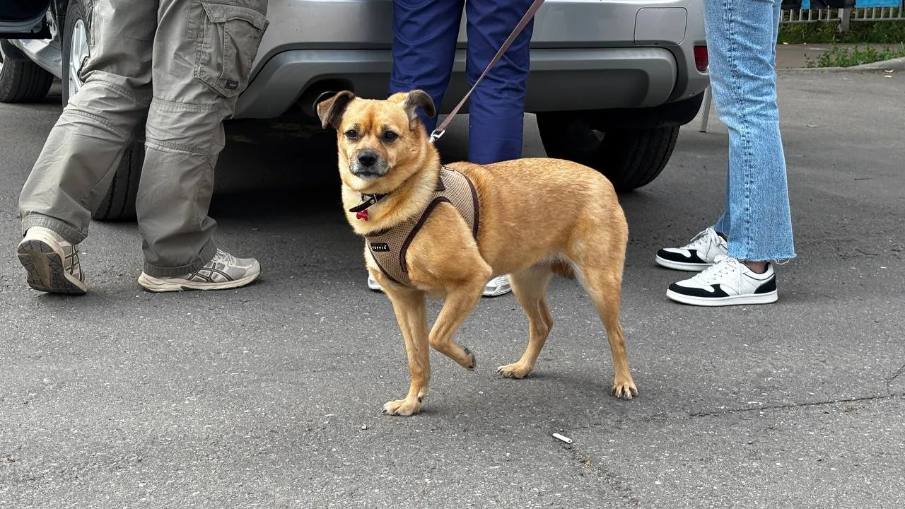 Фото: МБУК  «Городской парк культуры и отдыха»