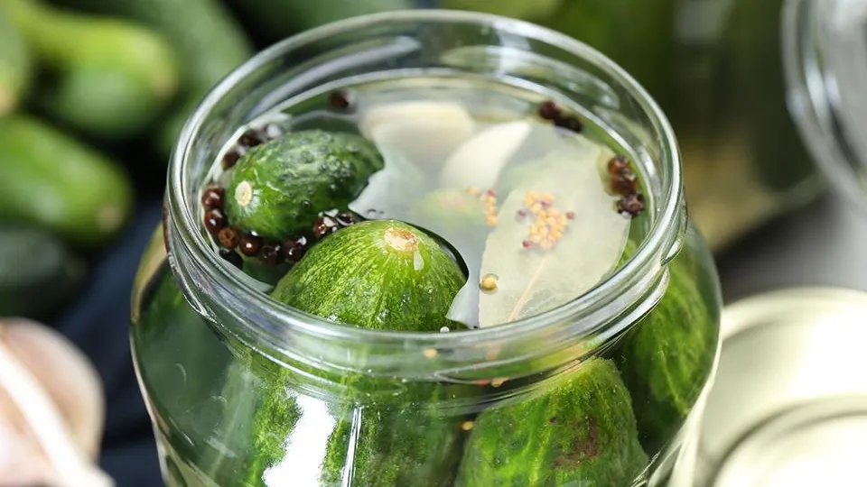 istockphoto.com/Olga Yastremska