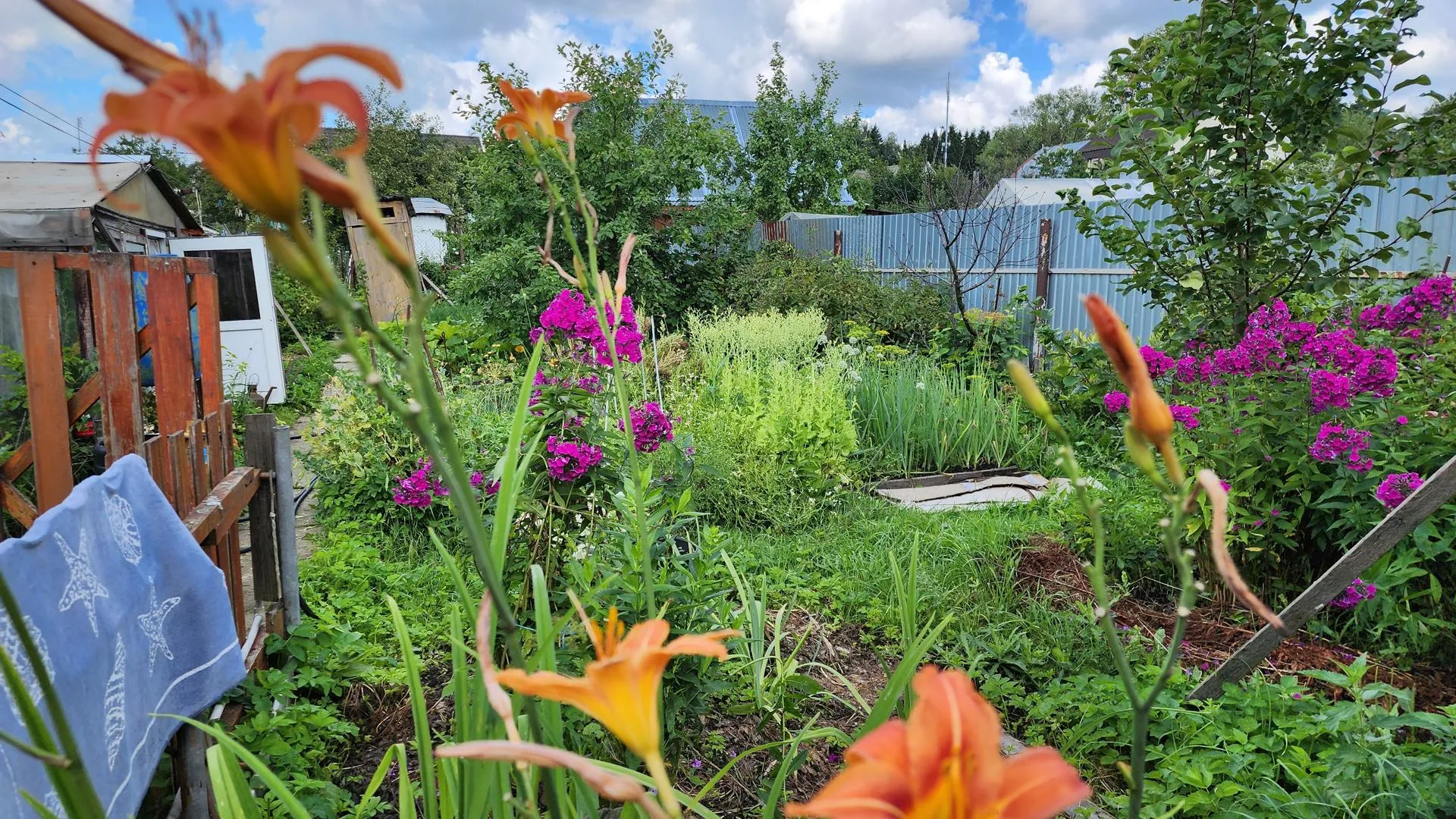 Фото: Наталия Надточая