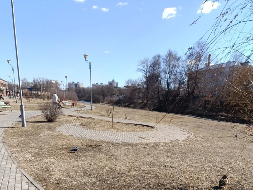 Фото:&nbsp;платформа zagorodsreda.gosuslugi.ru