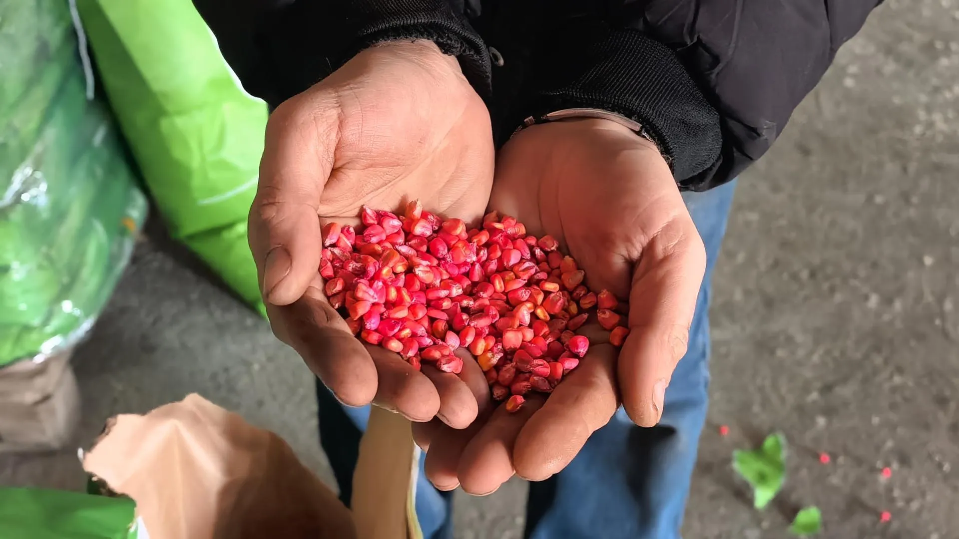 REGIONS/Ирина Матвеева