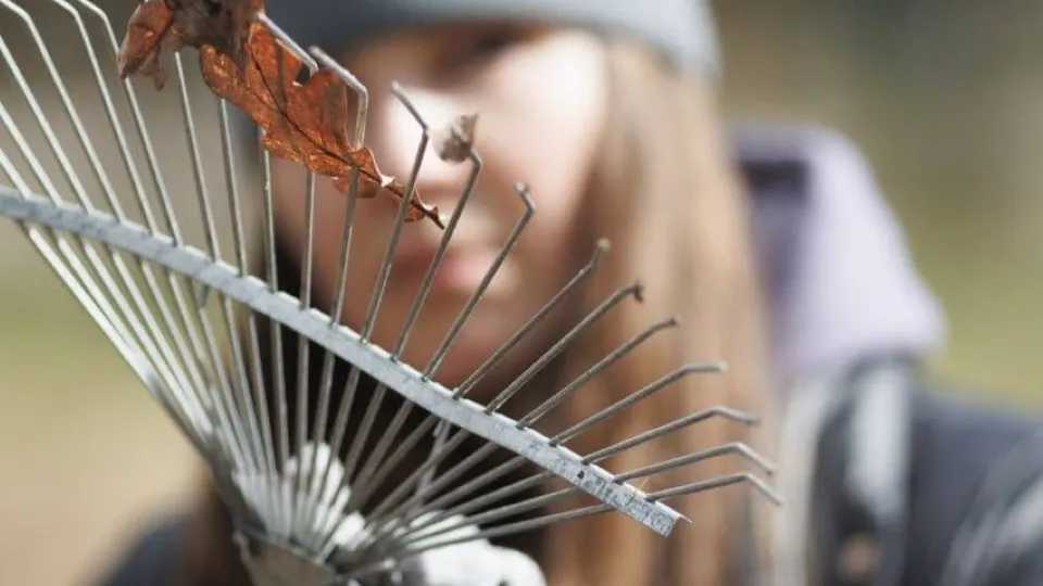 Фото: администрация м.о. Чехов