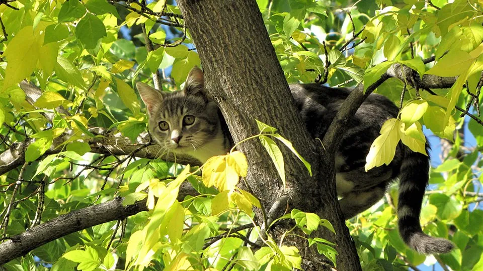 Фото: istockphoto.com