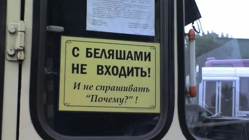 Котельники сегодня / vk.com