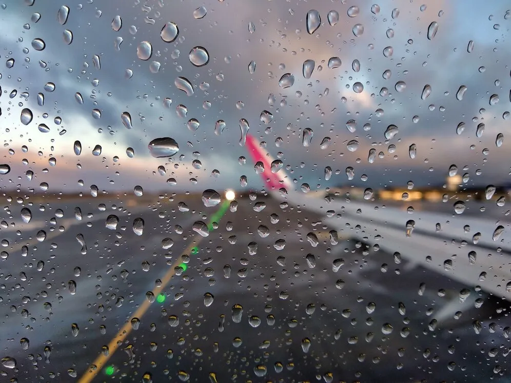 Фото: freepik.com&nbsp;