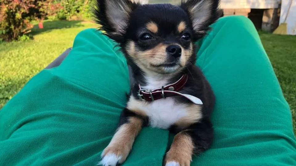 Фото: REGIONS/Илья Попов