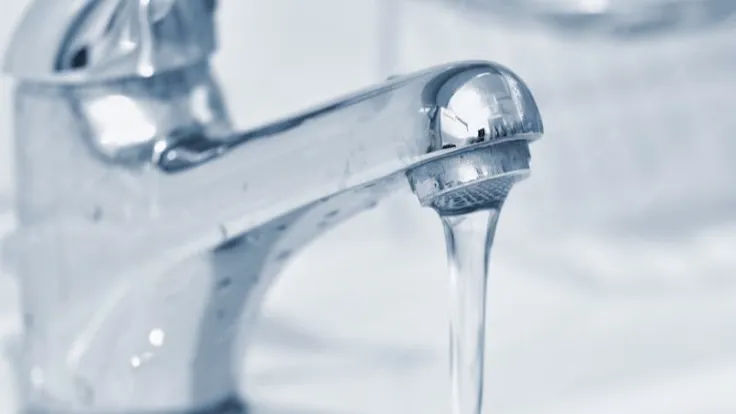 Фото: ru.freepik.com