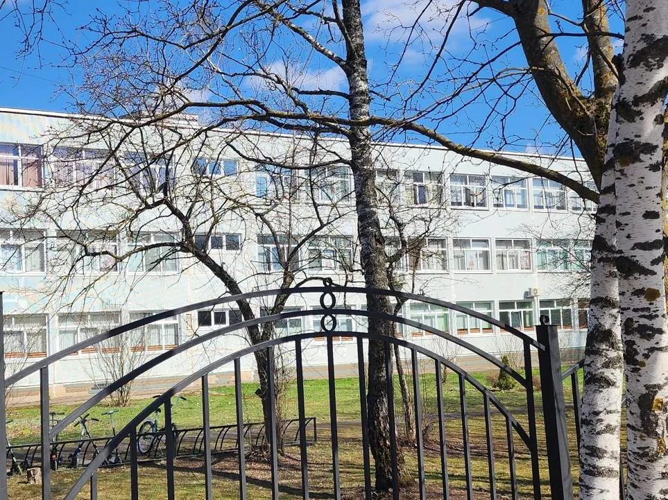 Фото: Елена Шумакова