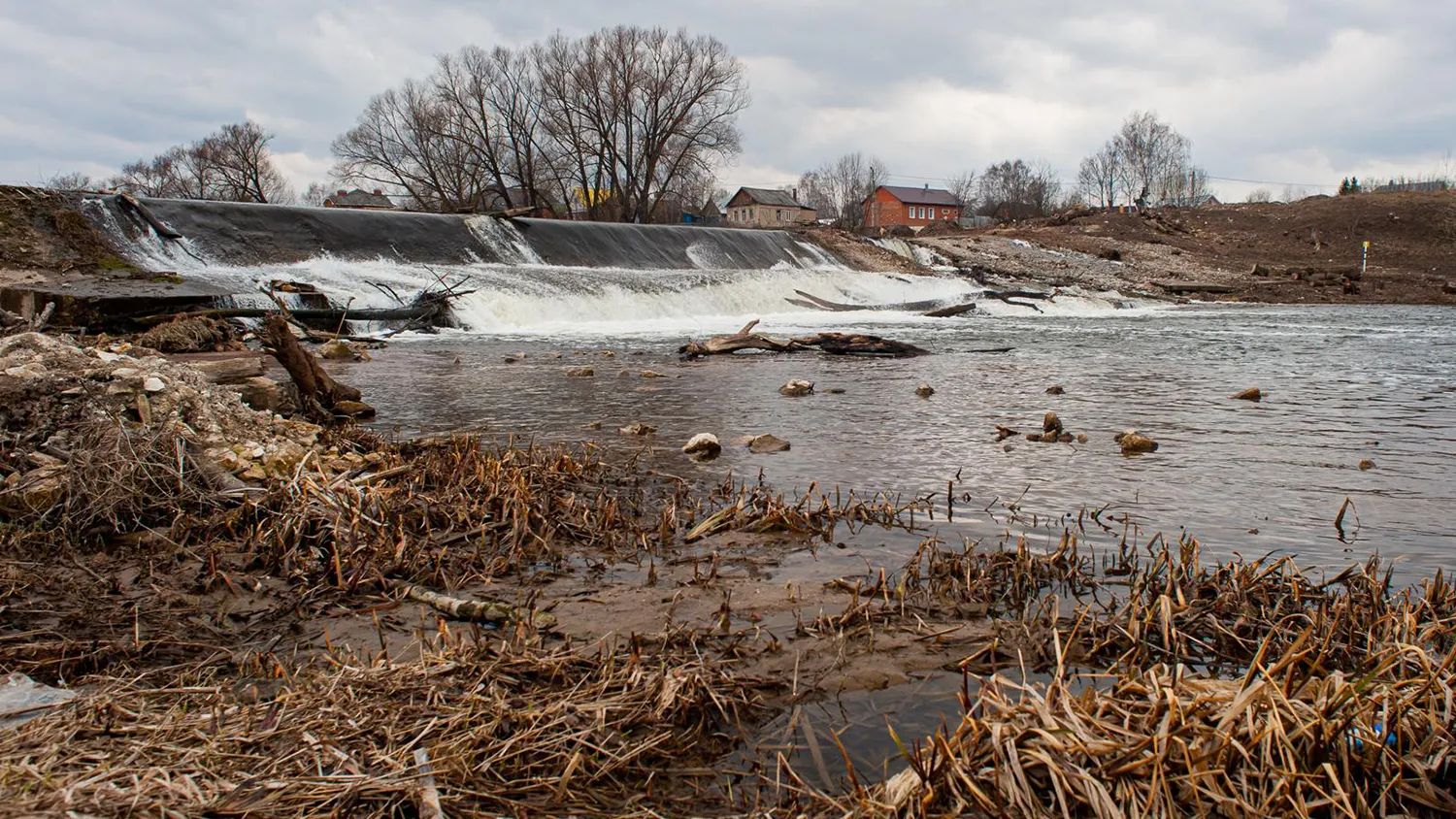 Фото: медиасток.рф