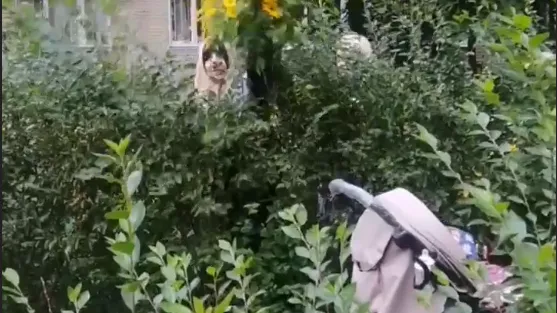 кадр из видео очевидца