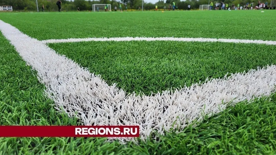 Фото: REGIONS/Александр Дрожжин