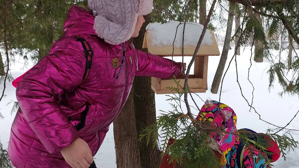 фото: ТГ-канал "Городской округ Лотошино"