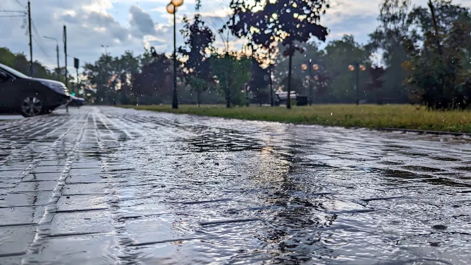 Фото: REGIONS/Алексей Селиверстов