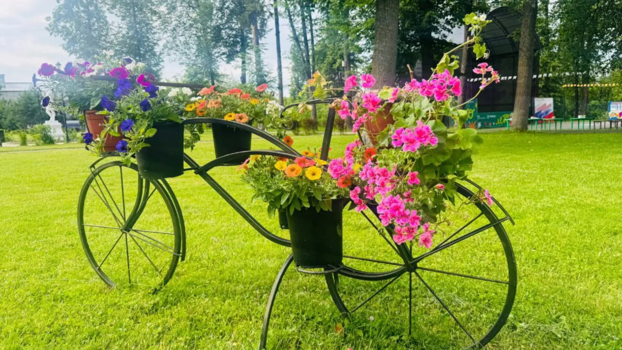 Фото: t.me/ParkVerbilki