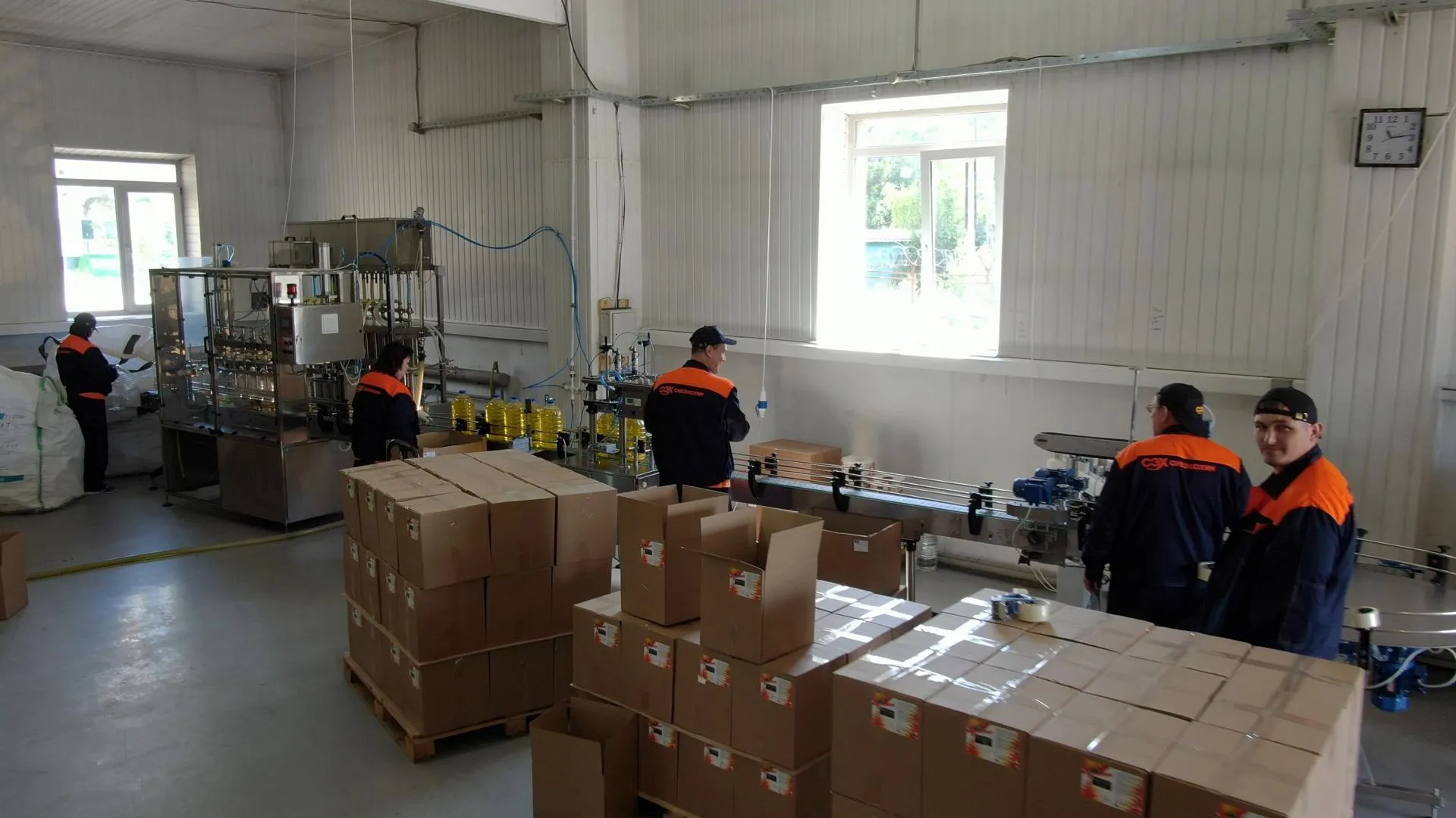 Ксения Борцова