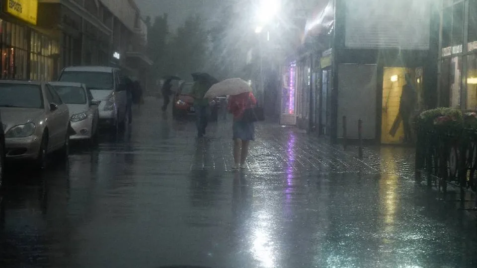 Фото: Медиаархив Подмосковья