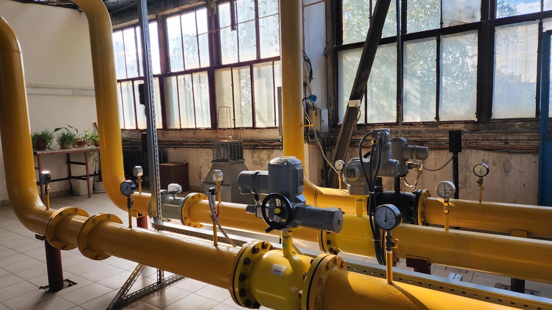 Фото: МедиаБанк Подмосковья/Ирина Моисеева