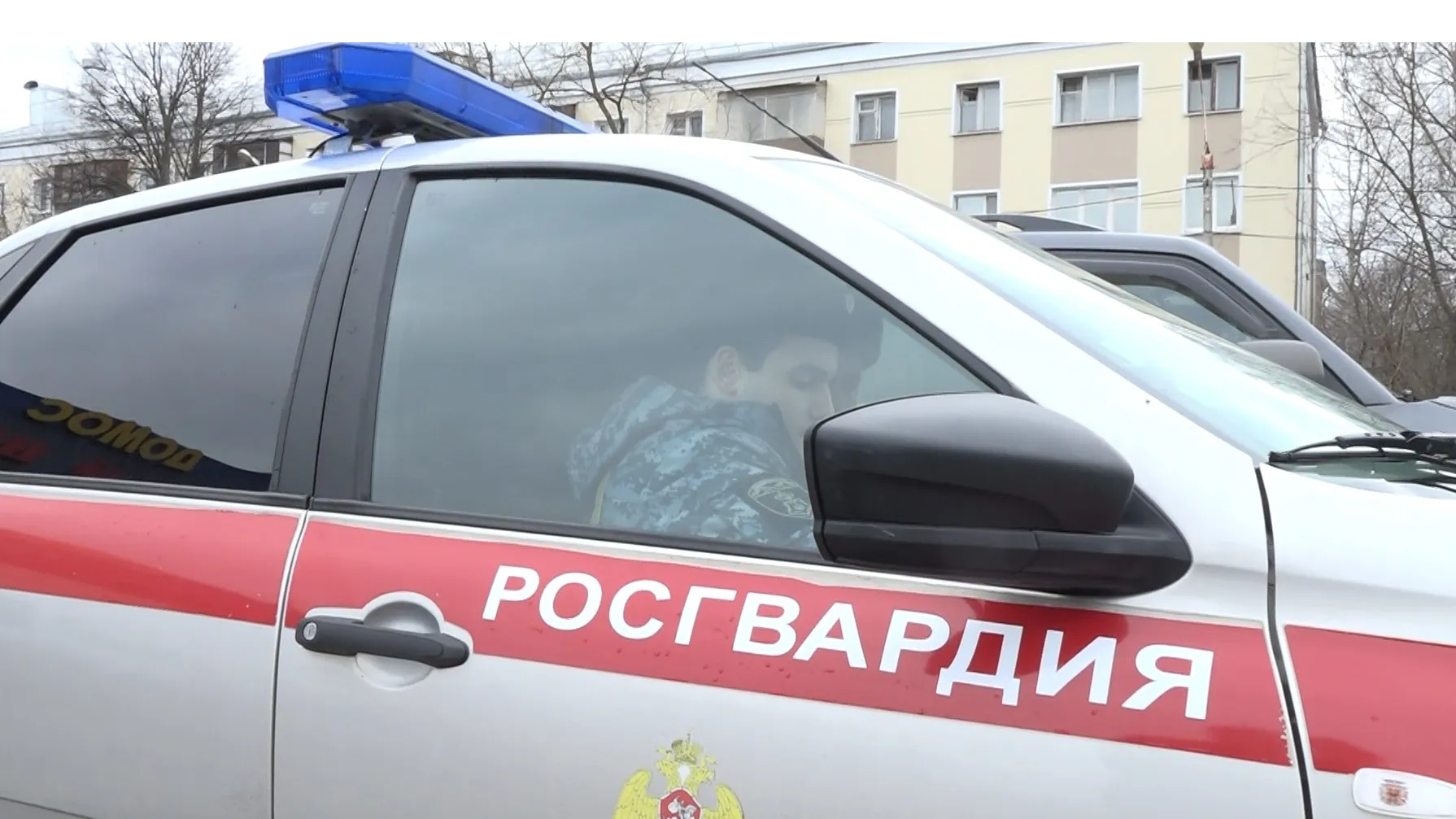 фото - Н. Надточая