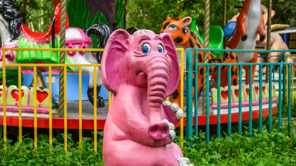 Фото: медиасток.рф