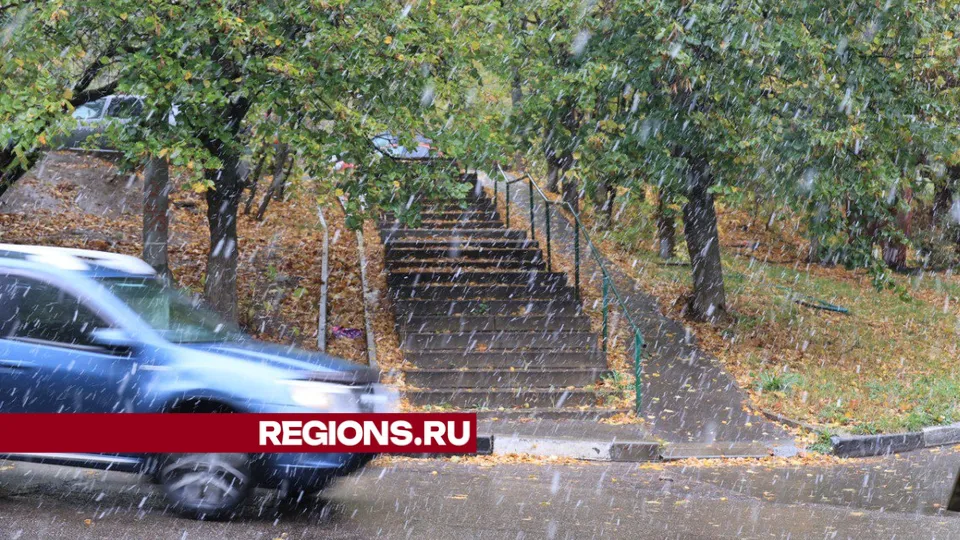 Фото: Алексей Грызлов