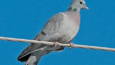 Фото: Фонд «Верховье»