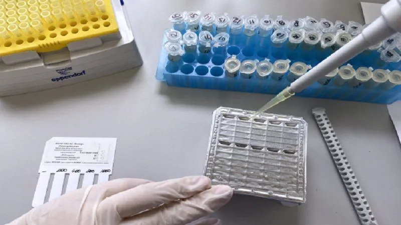 Пресс-служба научного центра вирусологии и биотехнологий "Вектор"