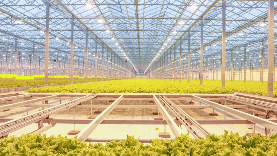 Фото: пресс-служба администрации г.о. Кашира