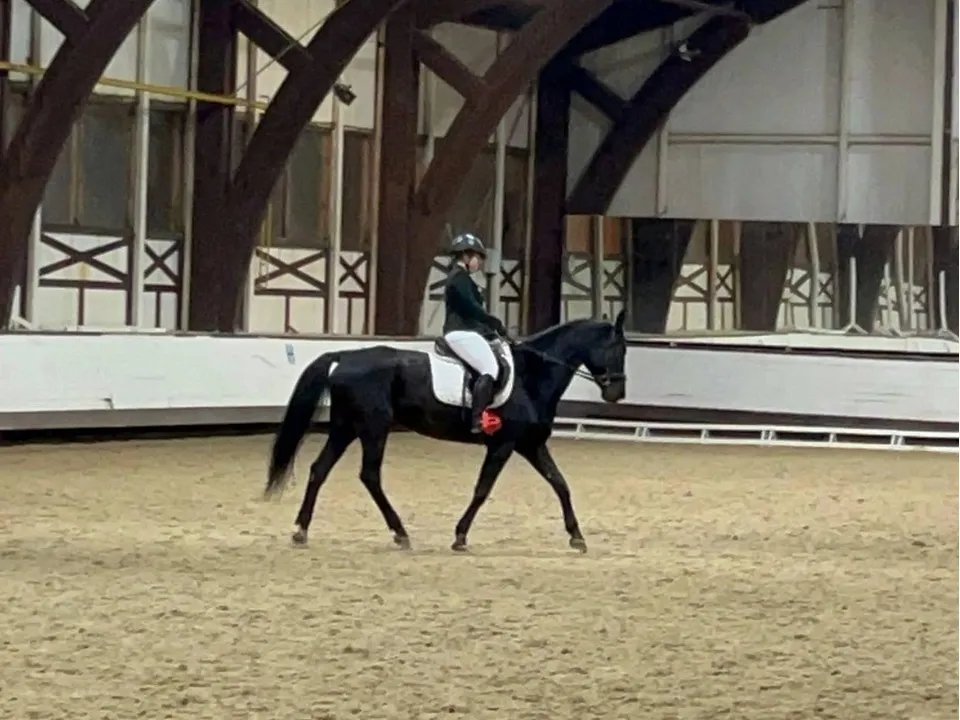 Фото: пресс-служба администрации г.о.Котельники